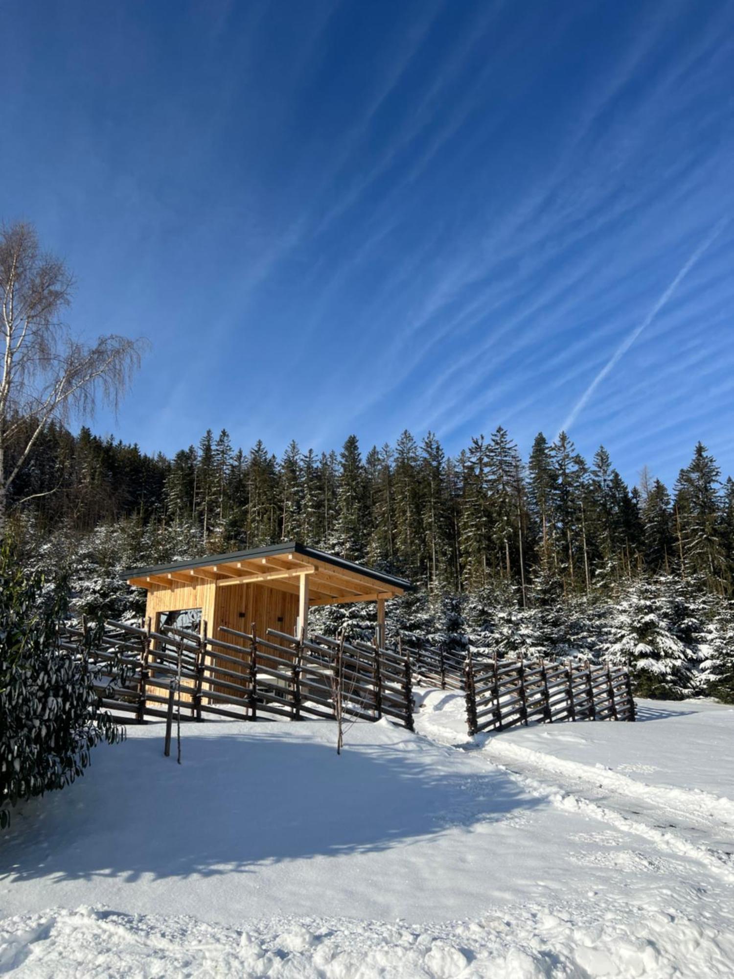Villa Waldheimatblick Sankt Kathrein am Hauenstein Exterior foto
